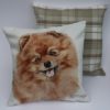Pomeranian Dog Cushion (CUS-242-B)