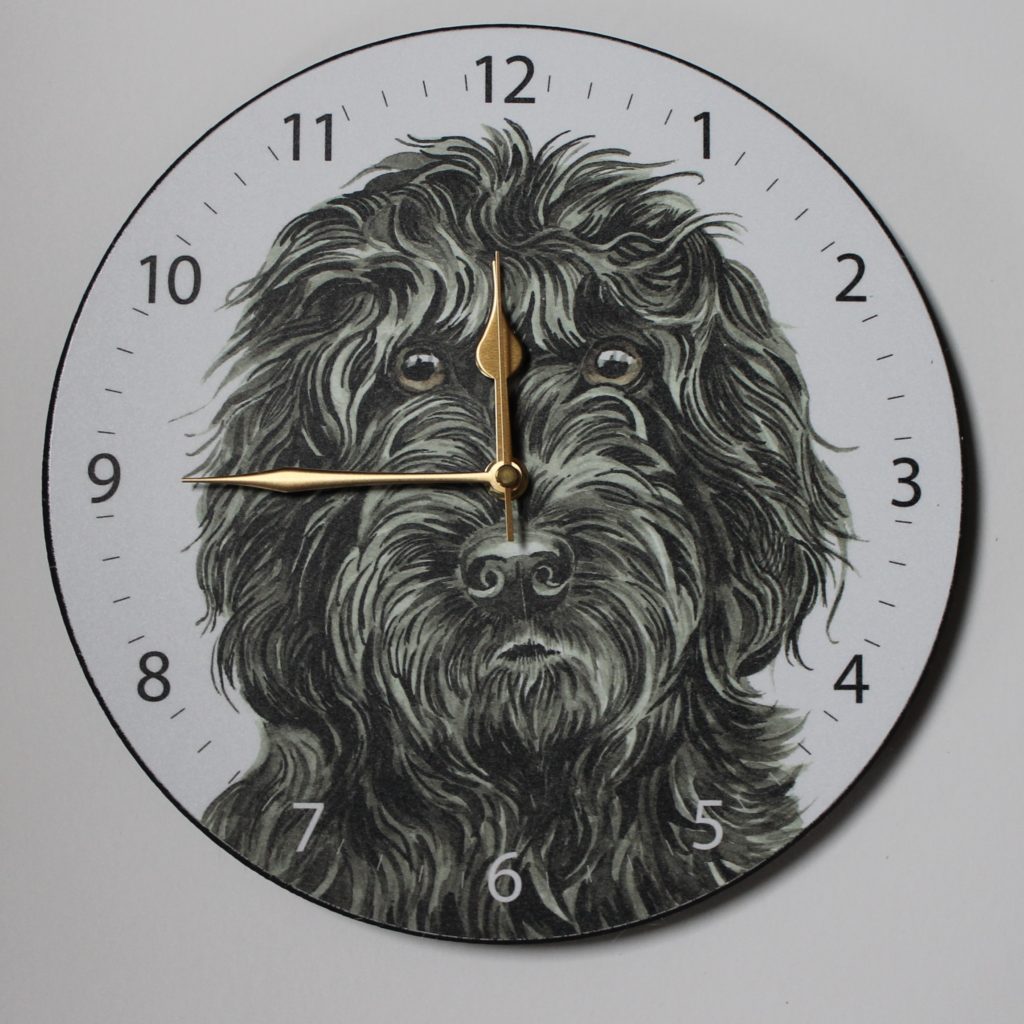 Cockapoo Archives - WaggyDogz