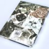 Cats Montage A5 Notebook / Journal (VNB-MDGS)