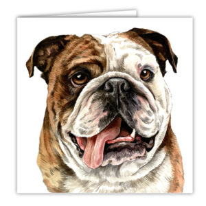 British Bulldog Art Card / Greetings Card (AC-01)