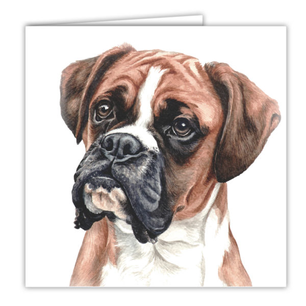 Boxer Art Card / Greetings Card (AC-03)
