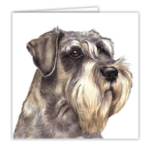 Schnauzer Art Card / Greetings Card (AC-05)