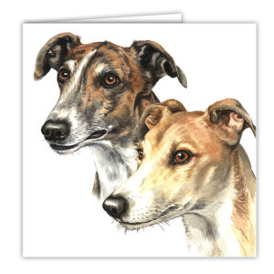 Greyhound Dog Pair Art Card / Greetings Card (AC-08)