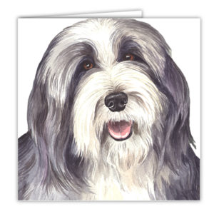 Bearded Collie Dog Art Card / Greetings Card ( AC-10 )