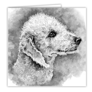 Bedlington Terrier Art Card / Greetings Card (AC-101)