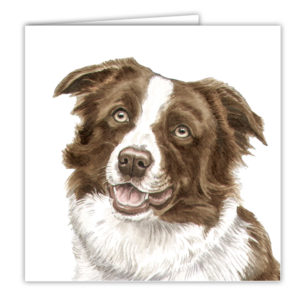 Border Collie Art Card / Greetings Card (AC-103)