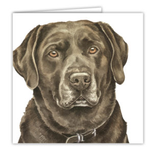 Chocolate Labrador Art Card / Greetings Card (AC-105)