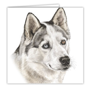 Husky Art Card / Greetings Card (AC-110)
