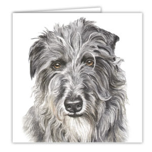 Deerhound Dog Art Card / Greetings Card (AC-116)