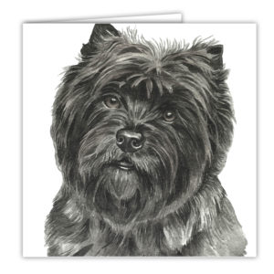 Cairn Terrier Art Card / Greetings Card (AC-118)