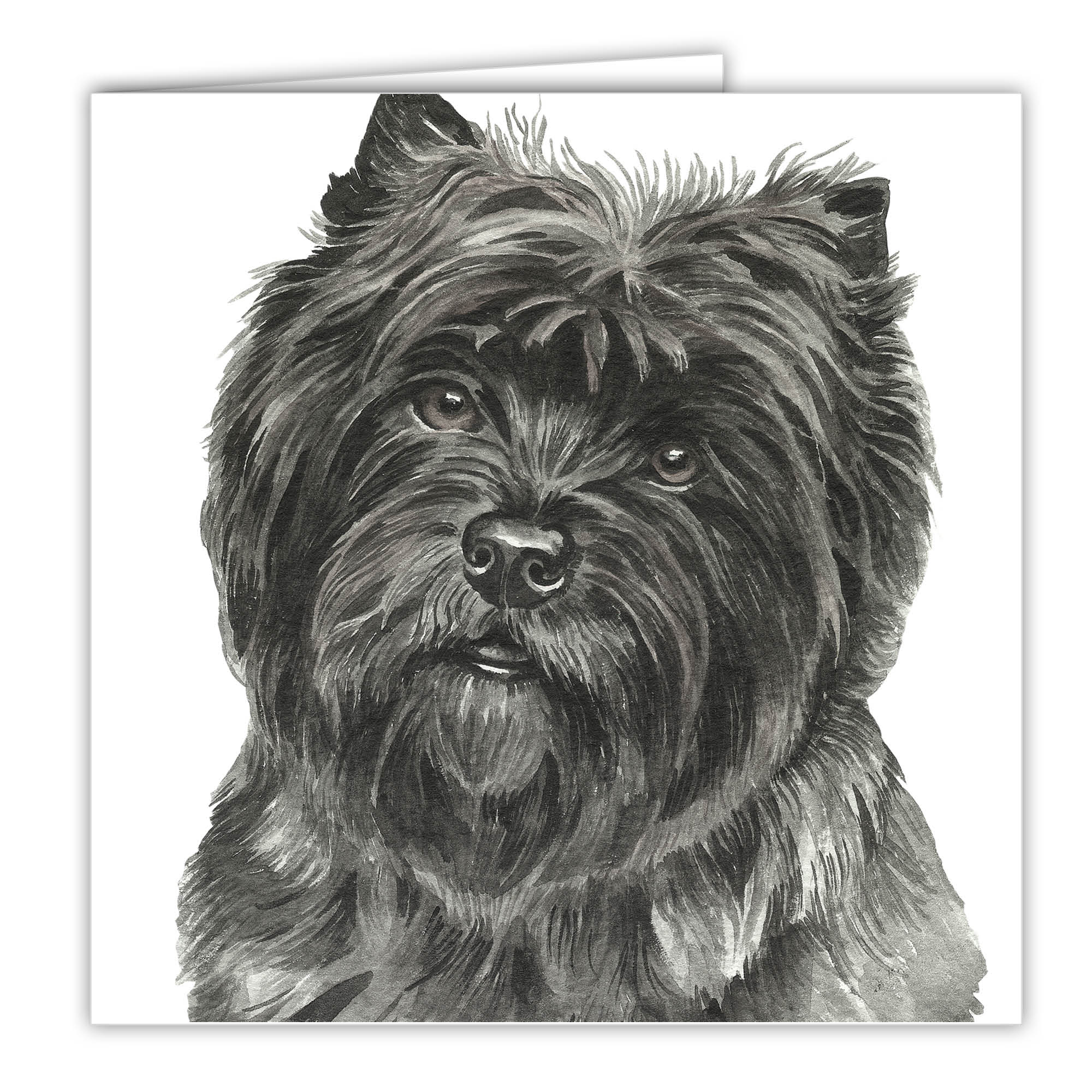 Cairn Terrier Art Card Greetings Card Ac 118 Waggydogz