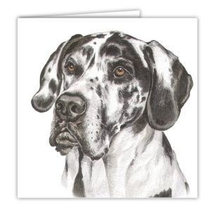 Great Dane Art Card / Greetings Card (AC-119)