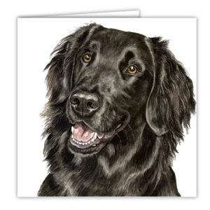 Flat-Coated Retriever Art Card / Greetings Card (AC-124)