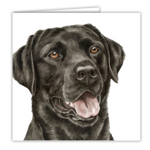 Black Labrador Art Card / Greetings Card (AC-125)