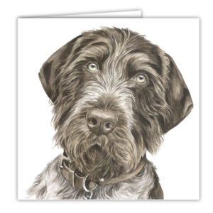 German Wire-haired Pointer Dog Art Card / Greetings Card (AC-127)