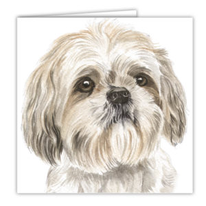 Shih Tzu Art Card / Greetings Card (AC-129)