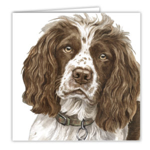 Springer Spaniel Dog Art Card / Greetings Card (AC-140)