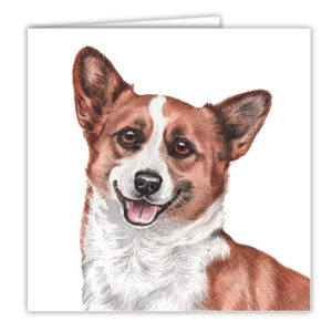 Corgi Art Card / Greetings Card (AC-143)