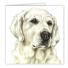 Golden Retriever Art Card / Greetings Card (AC-144)