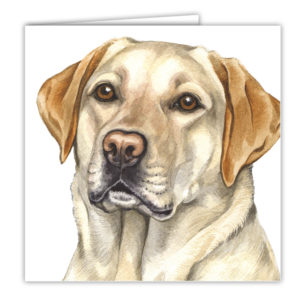 Golden Labrador Art Card / Greetings Card (AC-151)