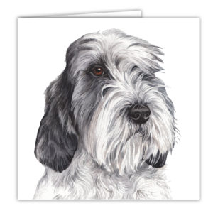 Petit Basset Griffon Vendeen Art Card / Greetings Card (AC-152)