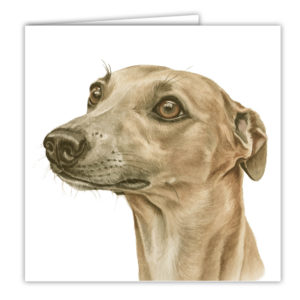 Whippet Dog Art Card / Greetings Card (AC-153)