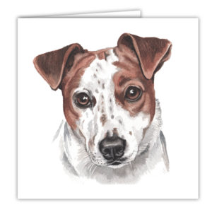 Jack Russell Art Card / Greetings Card (AC-156)