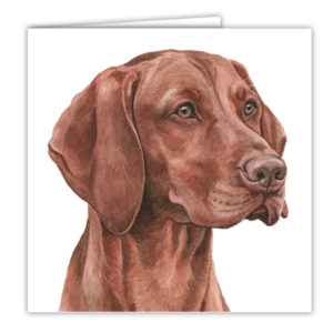 Hungarian Vizsla Dog Art Card / Greetings Card (AC-157)
