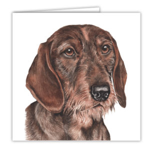 Wire Haired Dachshund Art Card / Greetings Card (AC-159)