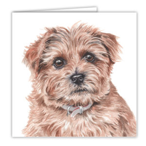 Norfolk Terrier Art Card / Greetings Card (AC-160)