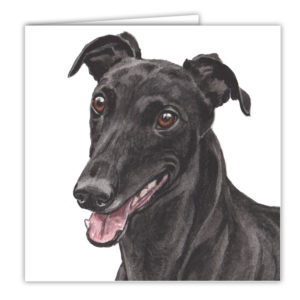 Greyhound Dog Art Card / Greetings Card (AC-163)