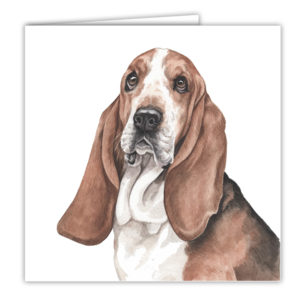 Basset Hound Art Card / Greetings Card (AC-166)