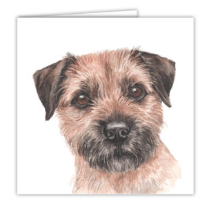 Border Terrier Art Card / Greetings Card (AC-167)