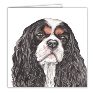 Cavalier King Charles Spaniel Art Card / Greetings Card (AC-169)