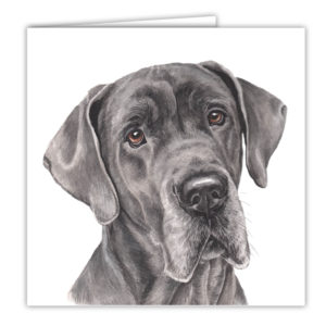Great Dane Dog Art Card / Greetings Card (AC-170)