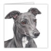 Greyhound Dog Art Card / Greetings Card (AC-171)