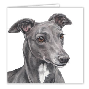 Greyhound Dog Art Card / Greetings Card (AC-171)