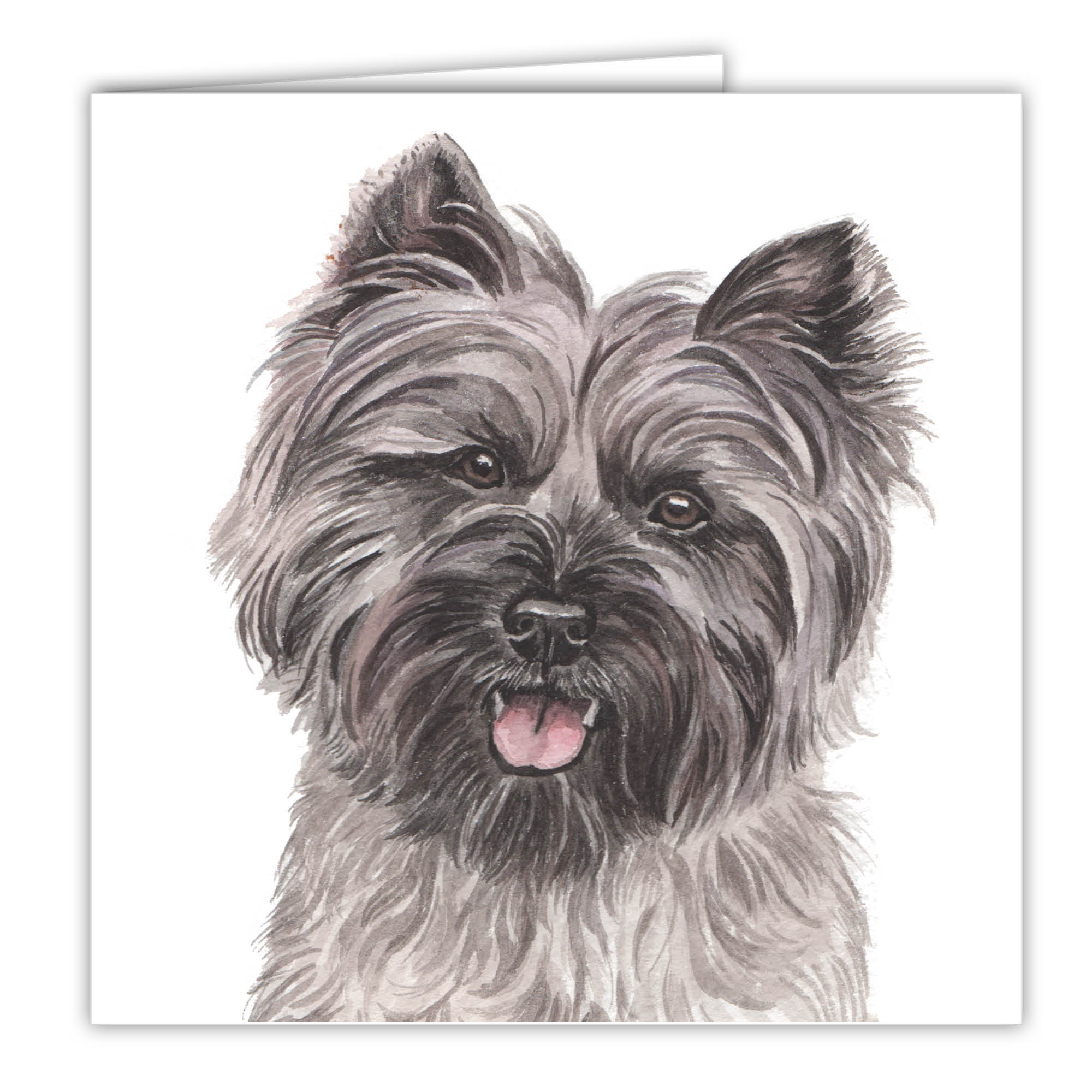 Cairn Terrier Art Card Greetings Card Ac 174 Waggydogz