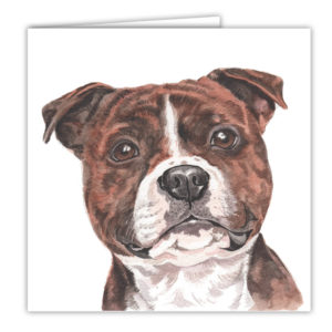 Staffordshire Bull Terrier Art Card / Greetings Card (AC-175)