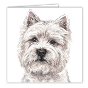 West Highland Terrier Art Card / Greetings Card (AC-176)