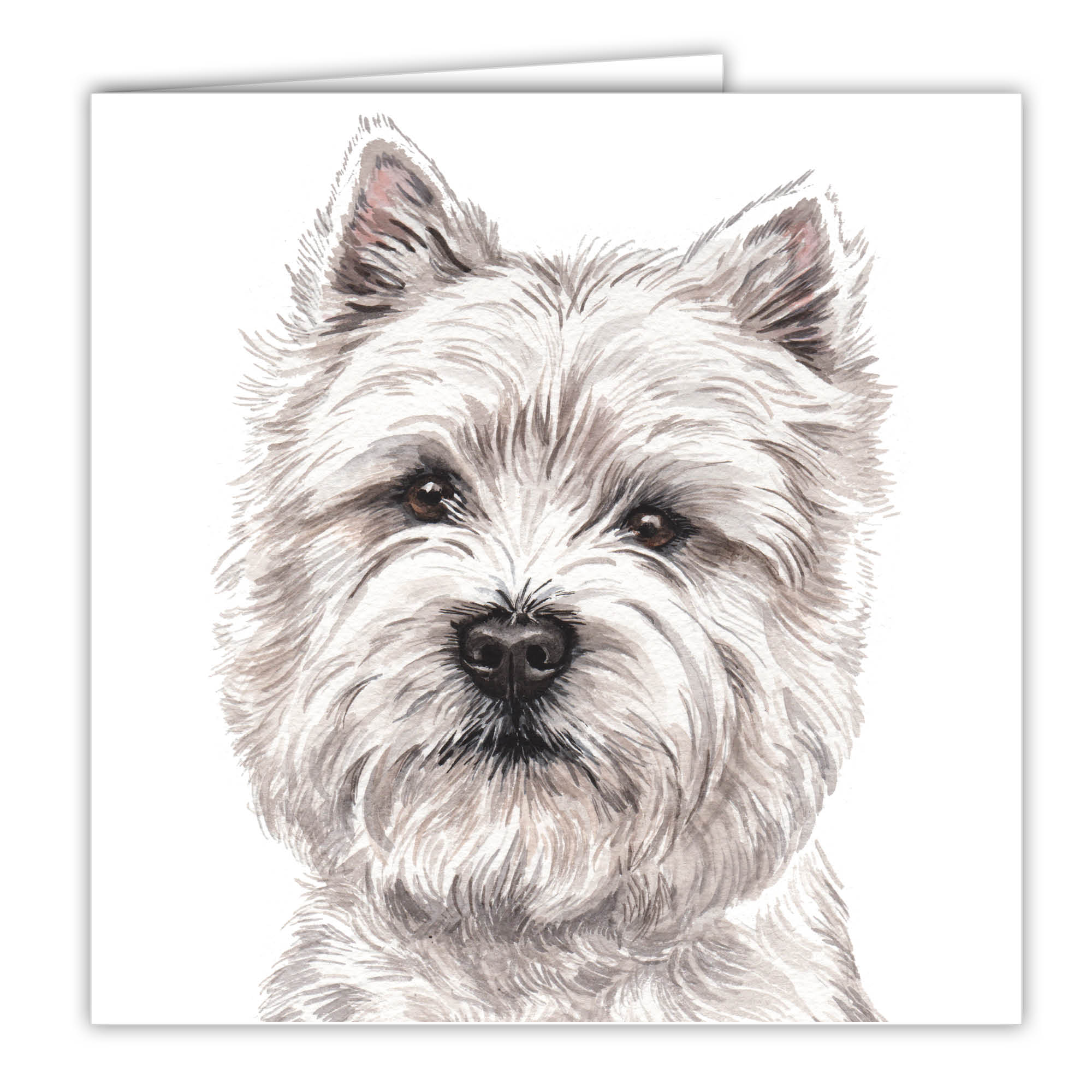 West Highland Terrier Art Card Greetings Card Ac 176 Waggydogz