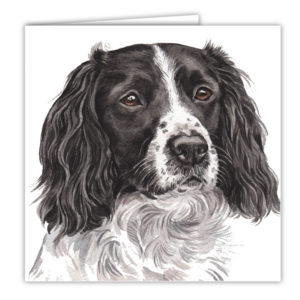 Springer Spaniel Dog Art Card / Greetings Card (AC-177)