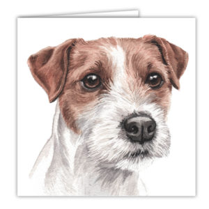 Parson Jack Russell Art Card / Greetings Card (AC-178)