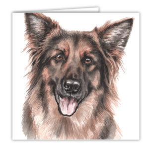 German Shepherd Art Card / Greetings Card (AC-179)