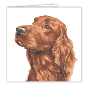 Irish Setter Art Card / Greetings Card (AC-18)