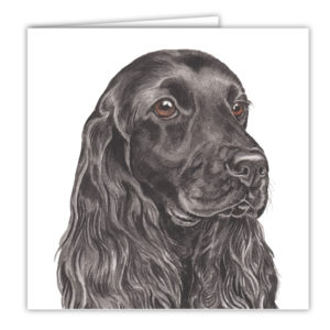 Cocker Spaniel Dog Art Card / Greetings Card (AC-180)