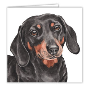 Dachshund Art Card / Greetings Card (AC-186)