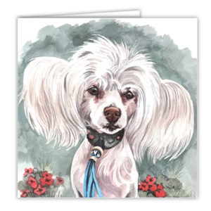 Chinese Crested Dog Art Card / Greetings Card (AC-187)