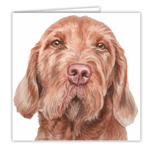 Wirehaired Hungarian Vizsla Dog Art Card / Greetings Card (AC-188)