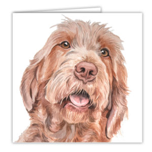 Wirehaired Hungarian Vizsla Dog Art Card / Greetings Card (AC-189)
